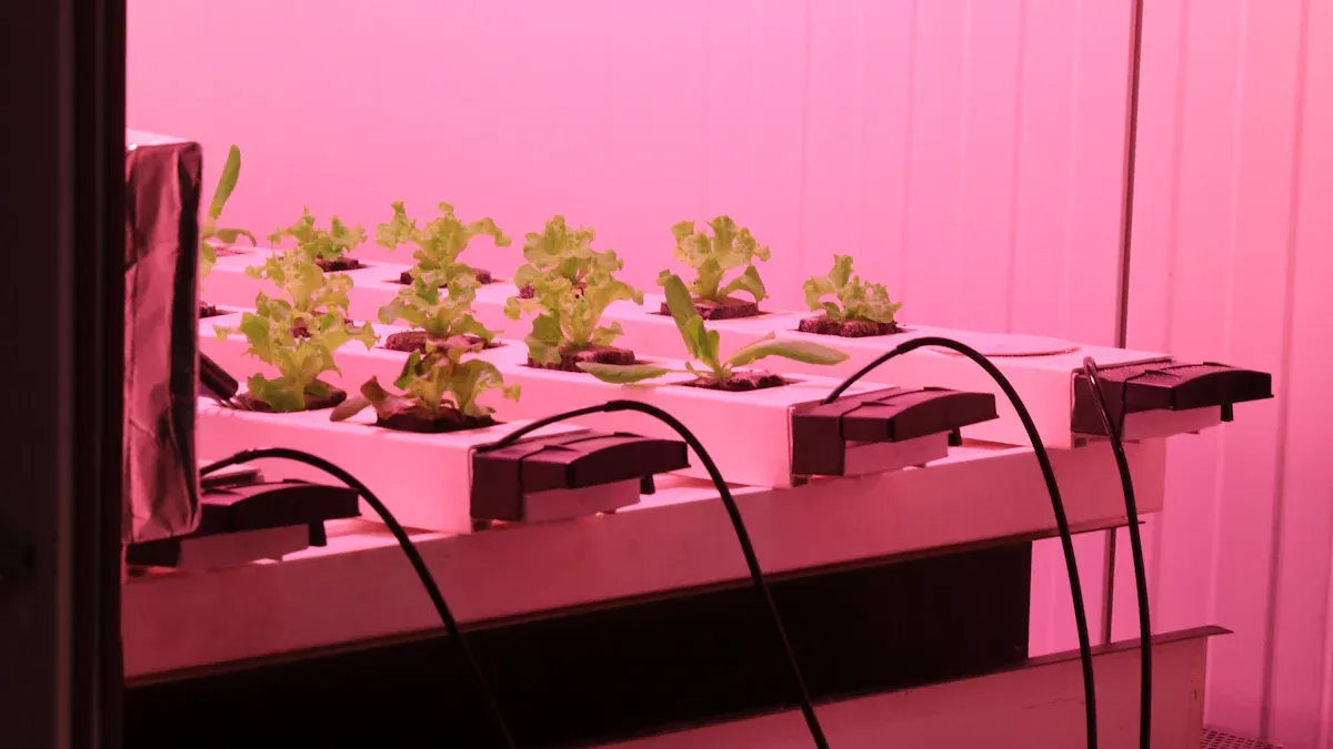 Môžu vertikálne pestovateľské svetlá skutočne pomôcť vašim rastlinám lepšie rásť